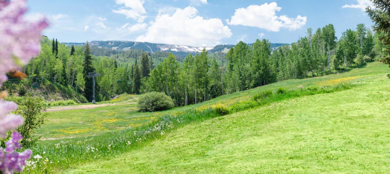 Laurelwood Condominiums 303 Snowmass Village Ngoại thất bức ảnh